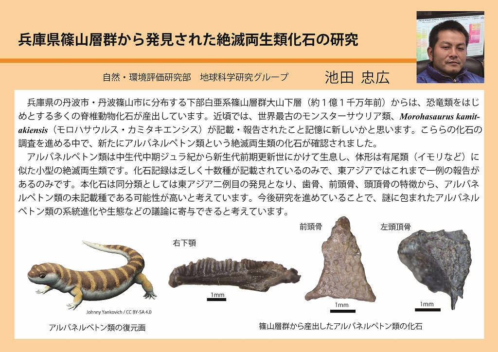 鳥追阿松海上新話 全三篇各上中下巻 / 古本、中古本、古書籍の