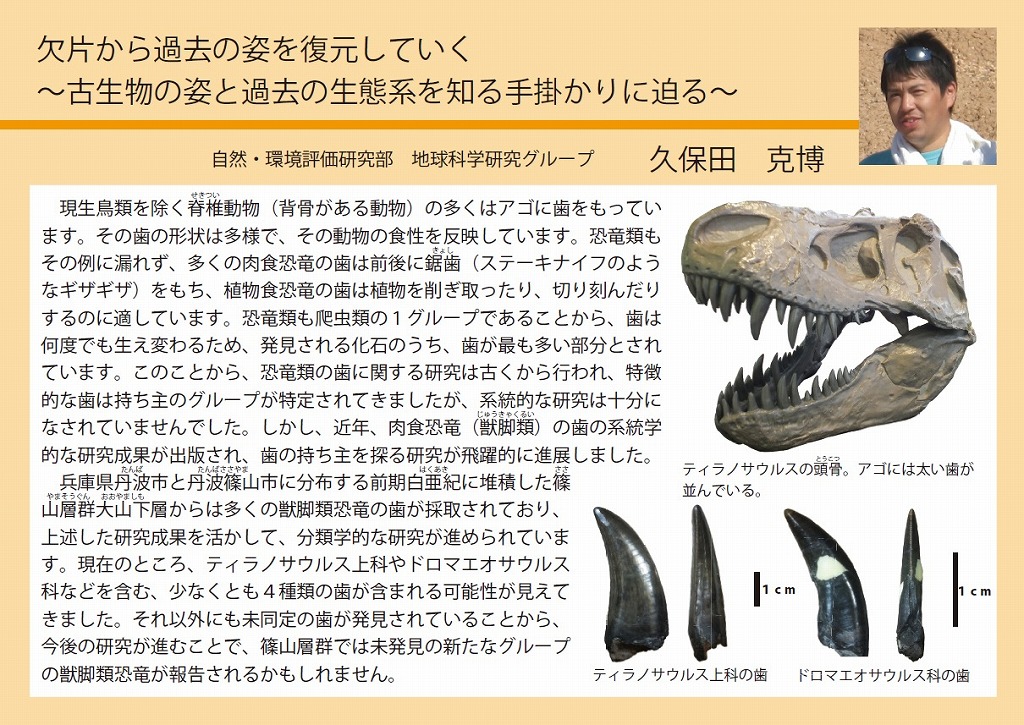 ミニ企画展「ひとはく研究員展2022」 - 兵庫県立 人と自然の