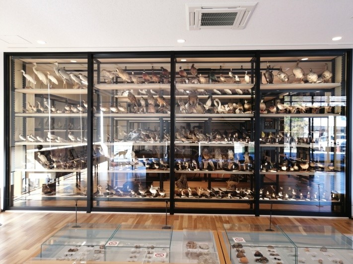 https://www.hitohaku.jp/exhibition/planning/specimen2022-2_2.jpg