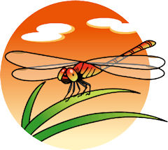 dragonfly240x.jpg