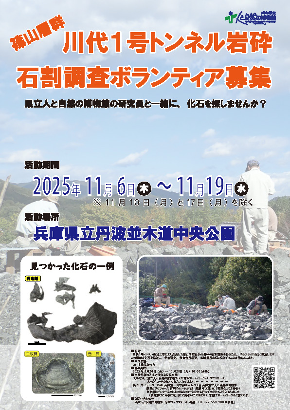 rock-research-volunteer-2509_poster-image.jpg