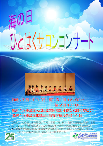 salonconcert-poster.jpg