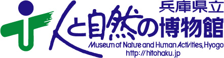 logo7.jpg