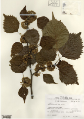 specimens_photo.jpg