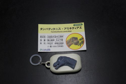IMG_6348.JPG圧.JPG