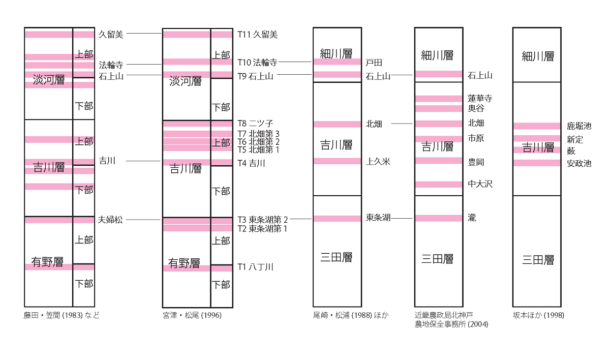 https://www.hitohaku.jp/publication/30thanniv_18-fig1.png