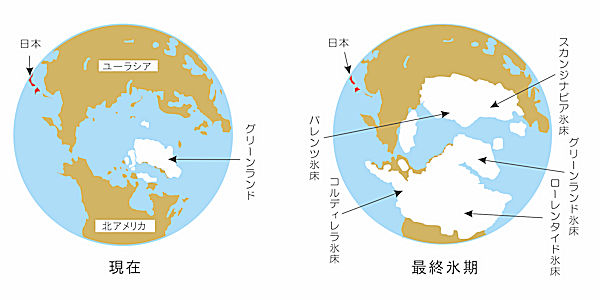 シリーズ｢人と自然,地域と向き合う-人博の多様な調査･研究活動の歩み｣第36回「自然史標本に関する新たな価値創造への挑戦」（標本とむきあう）第35回「太古のバードウォッチング　～石になった鳥を探る～」（標本とむきあう）第34回「外来カメムシを追う－在野研究者との共同調査」（地域とむきあう）第33回「ツユクサ科の分類の再検討に向けて」（自然とむきあう）第32回「神社を地域防災の拠点として活用する」（地域とむきあう）第31回「海産外来種を取り巻く複雑な種間関係を紐解く」（自然とむきあう）第30回「ダーウィン・クジャクの羽・花粉」（自然とむきあう）第29回「里山が持つ価値、美しさを未来につなげるには？」（地域とむきあう）第28回「混沌としたハエトリグモ類の分類体系を整理したい」（標本とむきあう）第27回「異常巻アンモナイトの研究－種の分類の見直しを目指して－」（標本とむきあう）第26回「実験的な風景づくりからの都市計画」（地域とむきあう）第25回「風景の価値を探る―世界遺産登録に向けた調査の現場から」（地域とむきあう）第24回「コミュニティと身近な緑」（地域とむきあう）第23回「恐竜化石を求めてゴビ砂漠へ行く」（標本とむきあう）第22回「生物標本の遺伝情報を利用する」（標本とむきあう）第21回「雪と森の国に生息するイヌワシの不思議な生態」（自然とむきあう）第20回「海浜植物ウンランと海辺の自然の保全に向けて」（自然とむきあう）第19回「ヘビ類化石の研究―小さく目立たない化石が教えてくれること―」（標本とむきあう）第18回「神戸層群の年代を調べる」（自然とむきあう）第17回「地域の自然に配慮した緑化のしくみを目指して」（人とむきあう）第16回「身近な生き物から地域の特徴を知る～市民参加型調査の手法と成果」（自然とむきあう）第15回「『非認知的能力』から読み解く博物館での学び」（人とむきあう）第14回「日本を代表する森林，照葉樹林の保全に向けた研究」（自然とむきあう）第13回「アフリカ・タンガニイカ湖での調査研究」（自然とむきあう）第12回「可憐な花，オチフジの謎にせまる」（自然とむきあう）第11回「コロナ禍でみえた身近な地域」（人とむきあう）第10回「六甲山系における森林の植生と土壌を調べる」（自然とむきあう）第９回「兵庫県のヤマラッキョウの地域的変異」（地域とむきあう）第８回「琉球・台湾にキノボリトカゲの仲間は何種いるのか？」（自然とむきあう）第７回「ナウマンゾウの祖先をエチオピアで掘る」（標本とむきあう）第６回「兵庫の海にさぐる氷河時代の環境変動」（自然とむきあう）第５回「意外と役立つアリの研究―博物館の研究が取り持つ人や社会との絆」（人とむきあう）第４回「ジャゴケを求めて西に東に」（標本とむきあう）第３回「エチオピアの大地に人類進化の謎を探るーコンソ村での調査」（自然とむきあう）第２回「ヒトの進化とスペクトラム」（人とむきあう）第１回「兵庫の植物、その特異な分布と博物館の標本」（標本とむきあう）