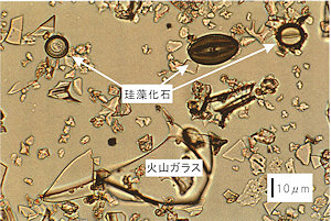 30thanniv-envc-pic3.jpg