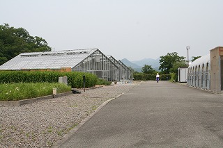 genefarm-2021_4.jpg