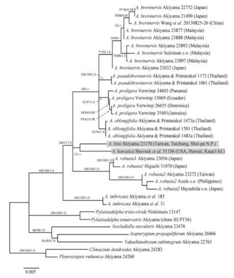 https://www.hitohaku.jp/research/h-research/2019-11_akiyama-2.jpg