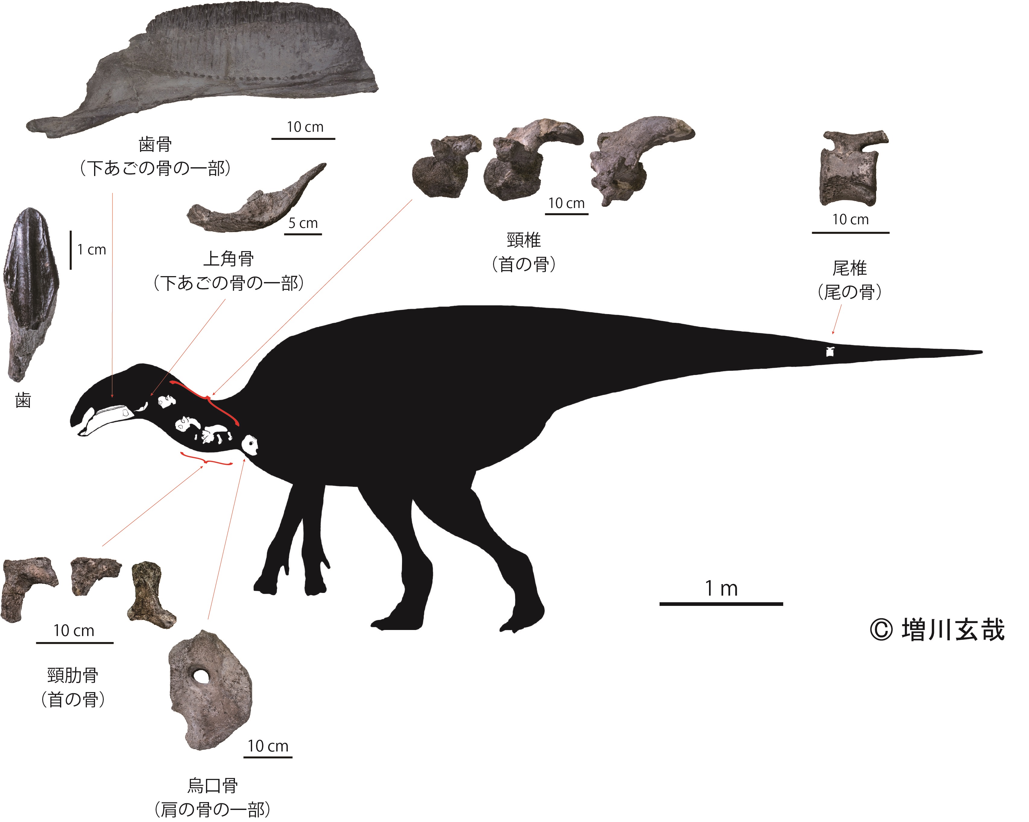 https://www.hitohaku.jp/research/h-research/20210427news-figure.jpg