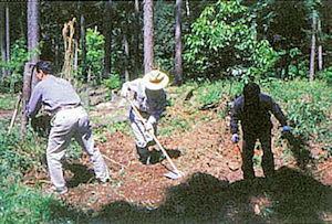 plantingwork-tambanomori.jpg