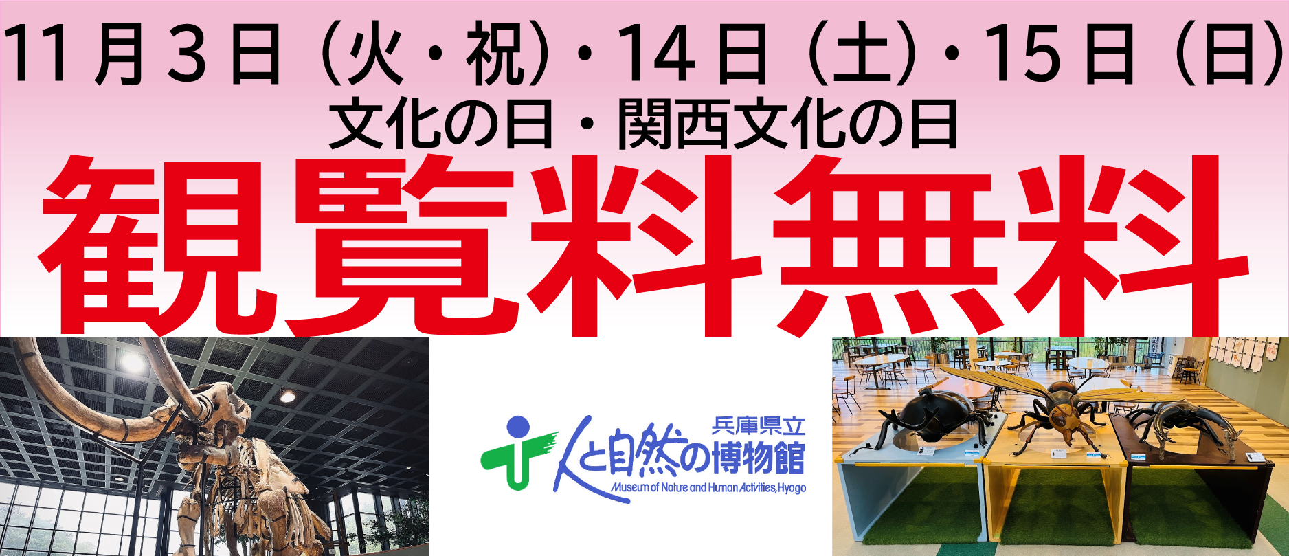 関西文化の日観覧料無料