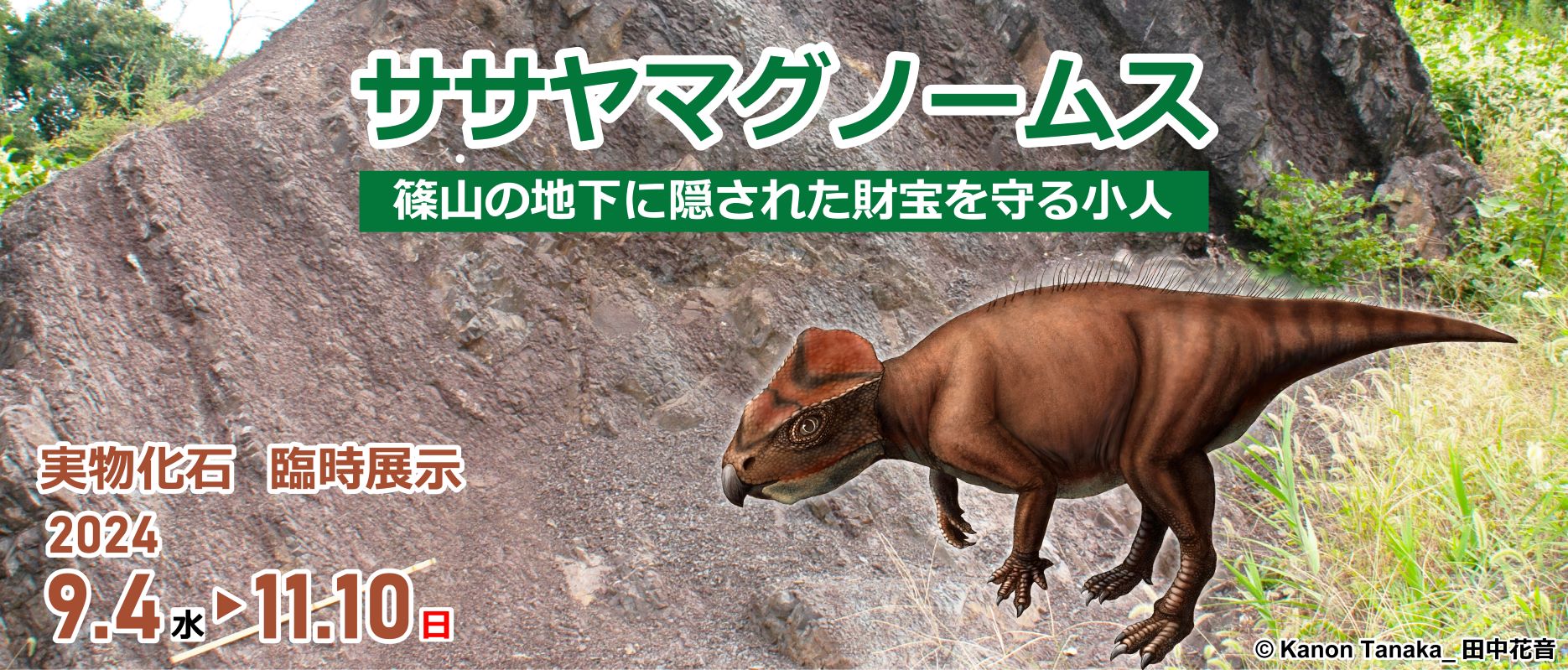 きょうりゅう様 確認専用ページ 読み返し